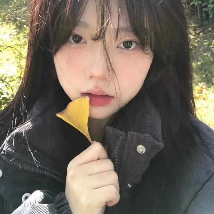 明星照片
